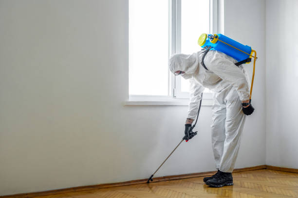 Best Residential Pest Control  in Wagner, SD